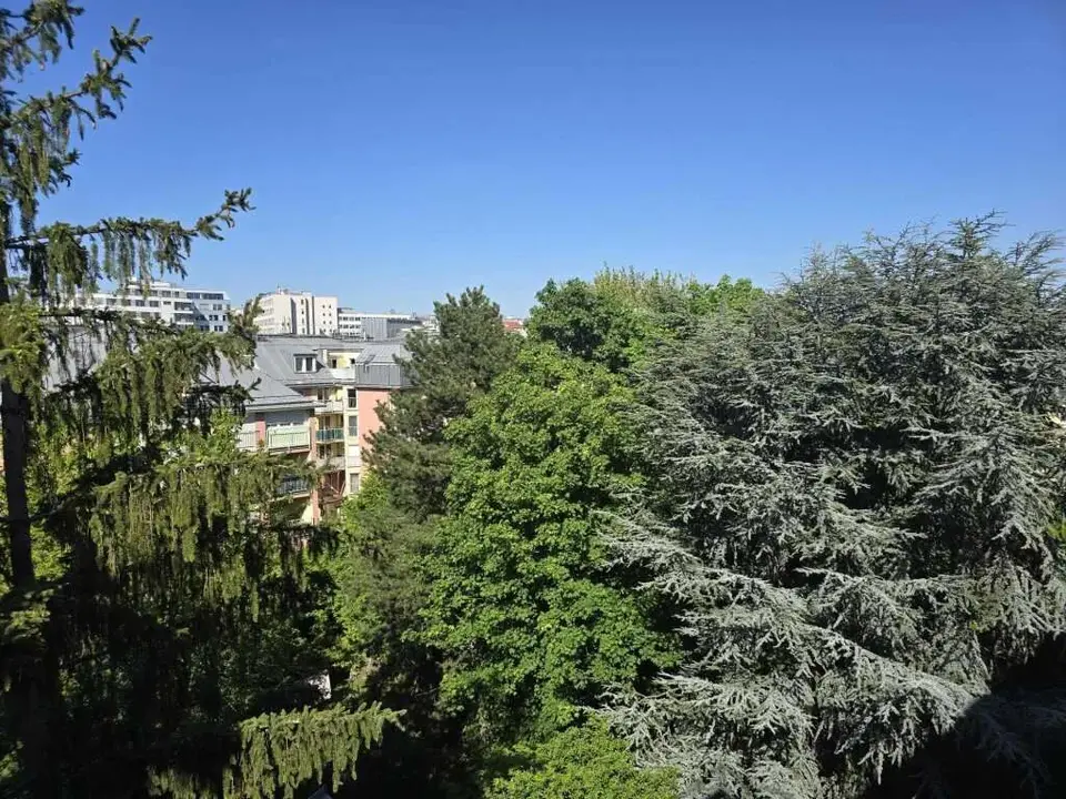 ++ Jugendstil-Juwel im Wiener Altbau + Nur noch 3-Neubau Wohnungen und 3 Altbauwohnungen + U4 Unter Sankt Veit +