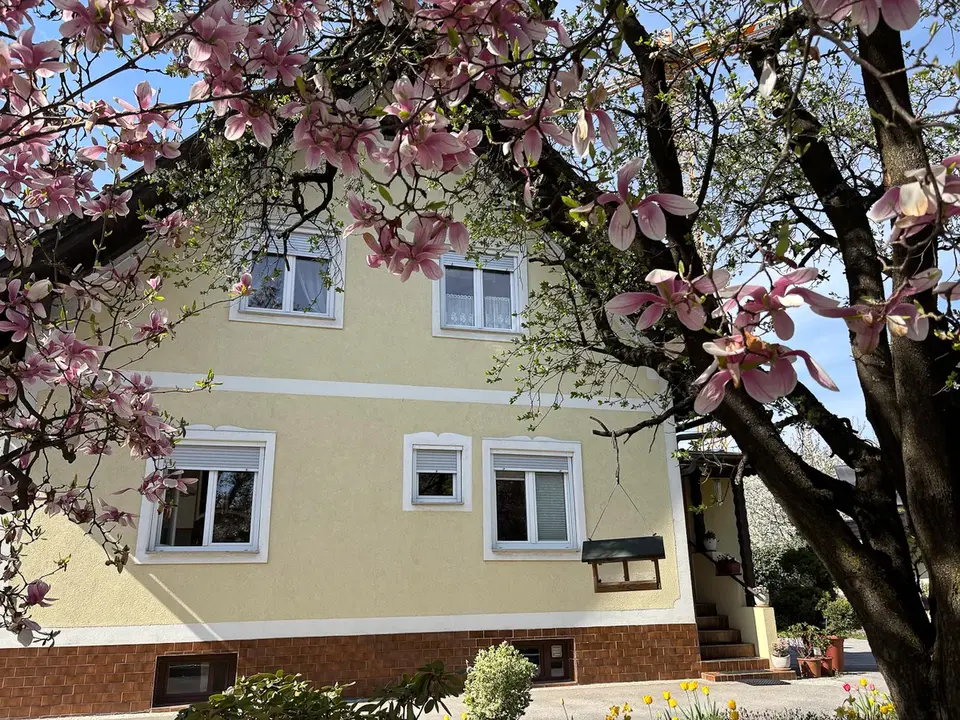 NEUER PREIS ! Stadtvilla mit traumhaftem Garten - unweit des Stadtzentrums