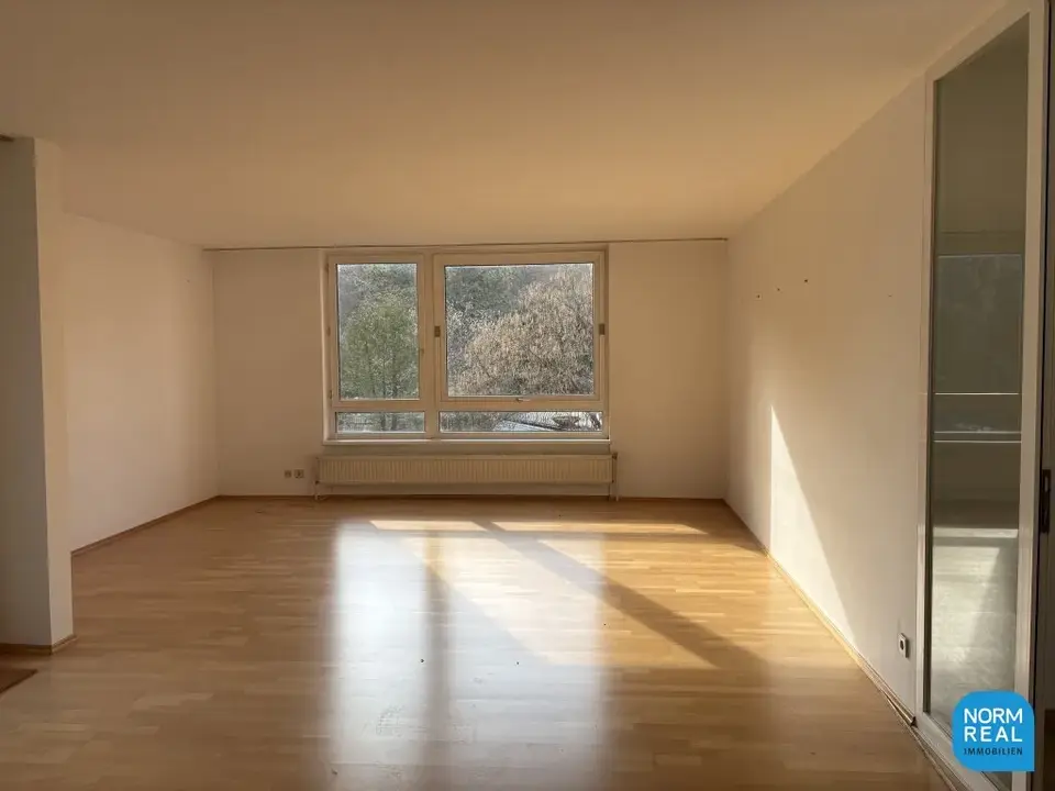 Terrassenwohnung am Pötzleinsdorfer Park