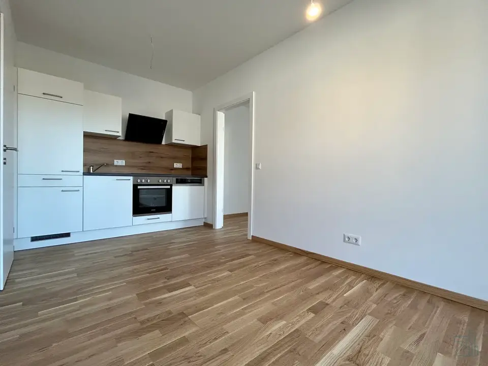 2-Zi-Anlegerwohnung, ca. 4,2 % Rendite - Graz-Straßgang