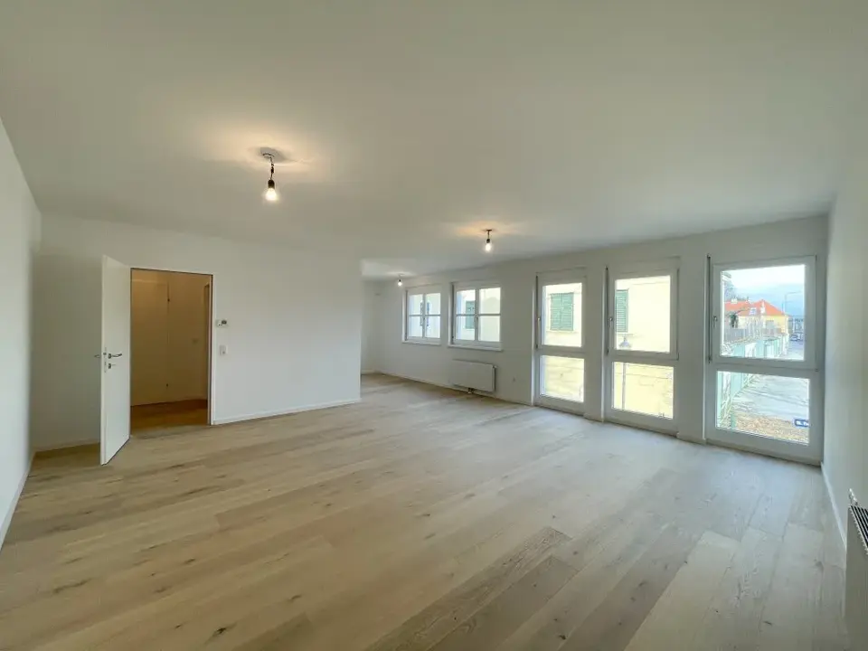Helle 1-Zimmer-Wohnung 47m² mit Wohnküche, Badewanne & Aufzug im 19. Bezirk, Wien!