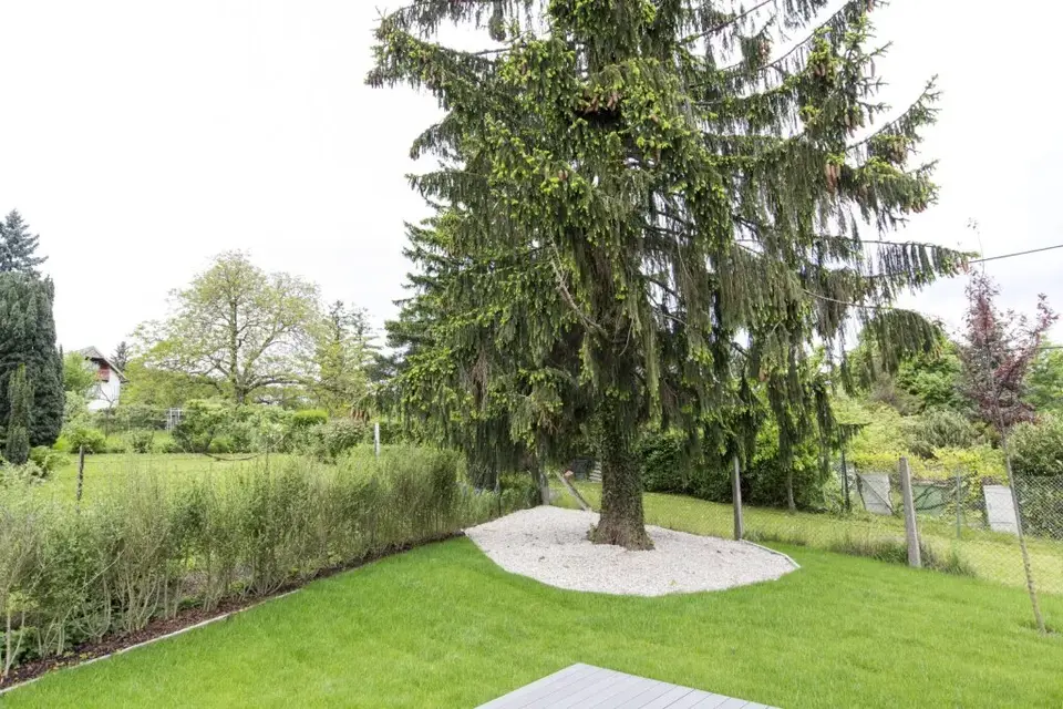 Luxury Single-Family Home with Spa Area