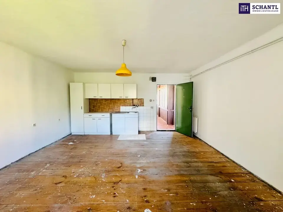 Sanierungsbedürftig - Charmante 55m2 Wohnung mit Potenzial in zentraler Grazer Lage -nähe FH!